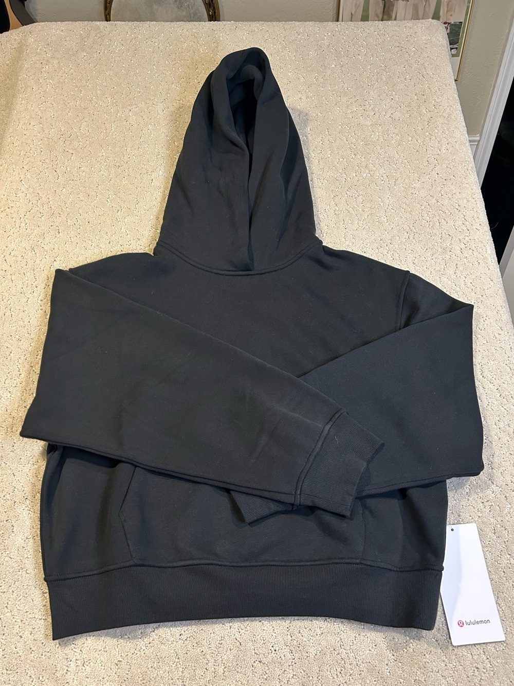 SOLD OUT NWT Lululemon W Steady State Oversized Hoodie Sz XS Black